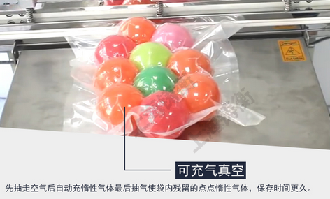 充气真空包装机
