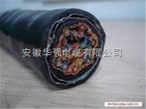 DJYP2VP2-22-4*2*1.5计算机电缆
