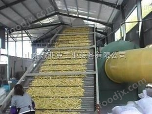 帶式干燥機  海藻多層帶式烘干機 壓縮機冷凍式干燥機
