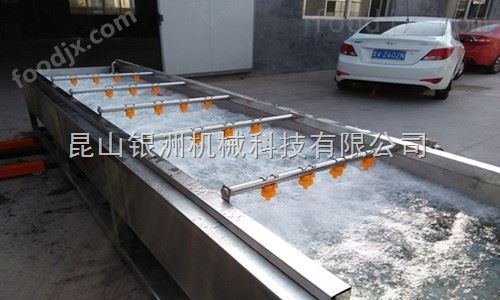 水果蔬菜喷淋清洗机、喷淋清洗机、清洗机 果蔬清洗机
