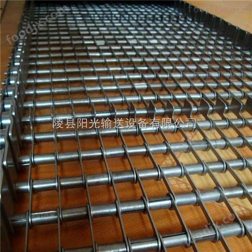 耐腐蚀眼镜输送网带 传送网带输送机