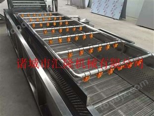 灰灰菜氣泡清洗機(jī) 果蔬全自動(dòng)清洗設(shè)備生產(chǎn)廠家 蔬菜清洗機(jī)