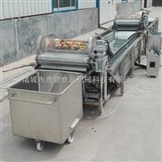 全自動小型果蔬清洗機 根莖類連續(xù)式氣泡清洗機